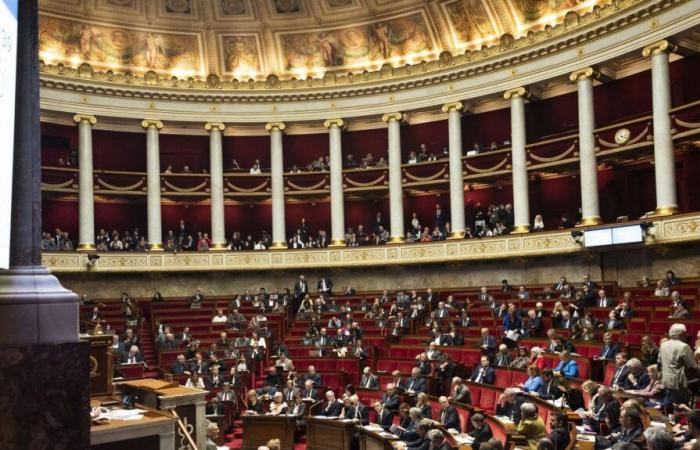 L’Assemblée nationale s’oppose massivement au traité entre l’UE et le Mercosur lors d’un vote consultatif