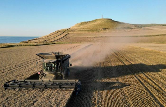 « Pour sauvegarder l’agriculture familiale, il faut reréguler les prix, les échanges et la production »