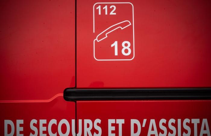 un piéton a été écrasé à mort par sa propre voiture