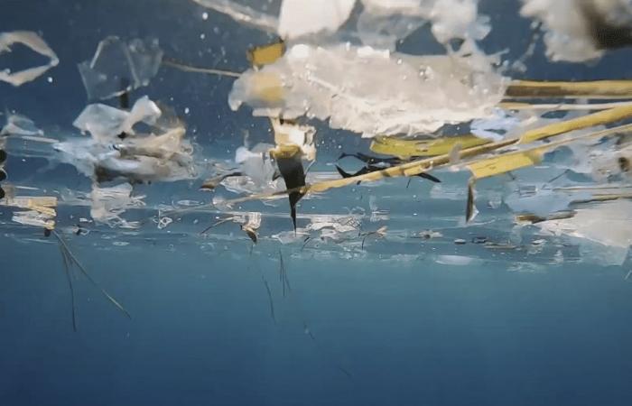 La Corse, ensevelie sous les déchets plastiques, espère que les Etats trouveront un accord pour lutter contre cette pollution