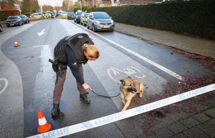 un étudiant a été témoin d’une fusillade, un suspect en fuite (Berchem)