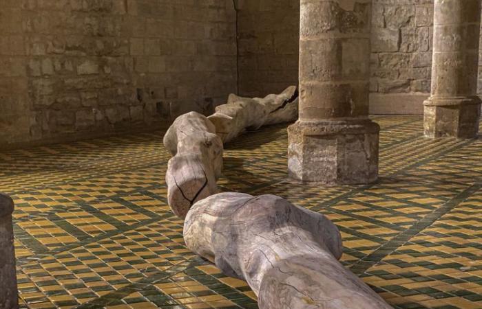 Cécile Beau et Grégoire Scalabre exposent à l’Abbaye de Maubuisson