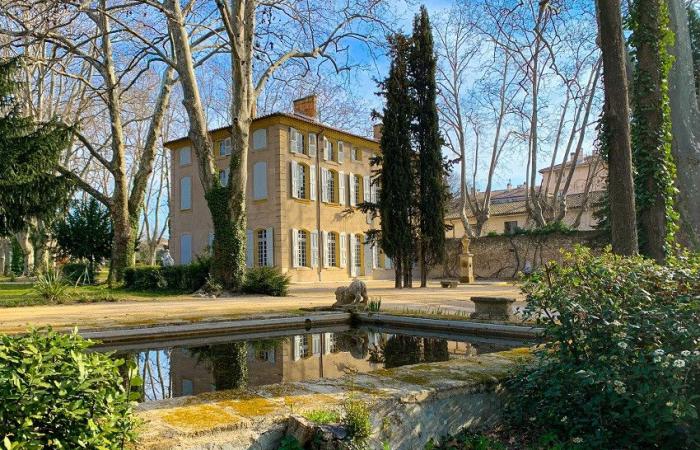 Expositions, visites de ville, visites immersives… Aix-en-Provence prépare un hommage grandiose à Cézanne