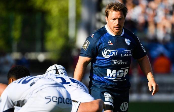 Transferts / Top 14 – Le retour de Torsten van Jaarsveld officialisé par Bayonne