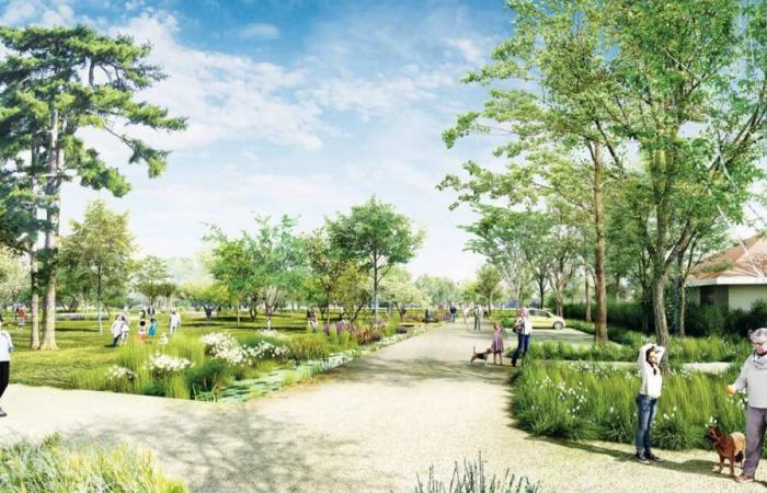 le parc de la Châtaigneraie a entamé sa transformation