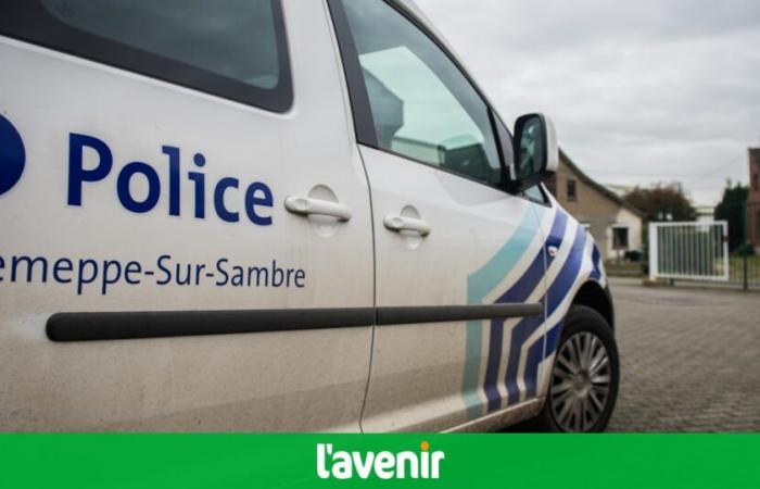 un policier a été licencié pour avoir consulté une base de données à des fins personnelles