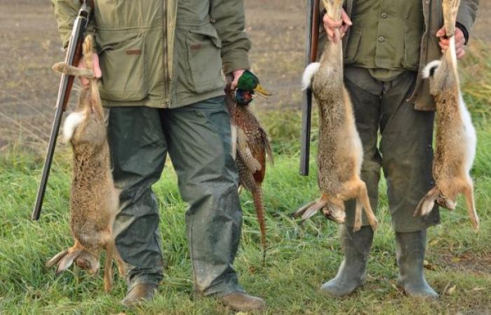 La Haute-Marne va dépenser 450 000 euros d’argent public pour soutenir la chasse !