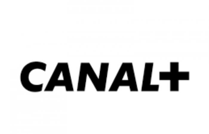 CANAL+ INTERNATIONAL recrute pour ce poste (25 novembre 2024)