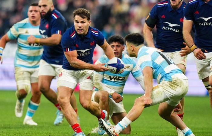 XV de France – Technique. Pourquoi Antoine Dupont est plus central que jamais dans le jeu des Bleus