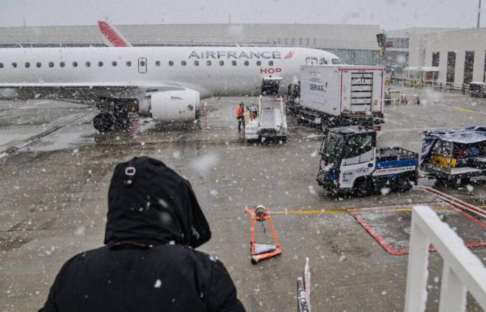 A l’aéroport Charles de Gaulle, une touriste recherche son chien disparu sur le tarmac depuis une semaine, un « dispositif exceptionnel » déployé par Air France – Libération