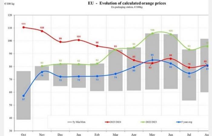 Les prix de l’orange dans l’UE diminueront de 17,83 % en 2024