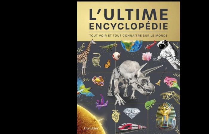 L’encyclopédie ultime, un pari un peu trop fou