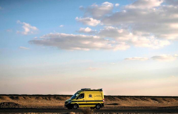 les deux Suisses retrouvés vivants