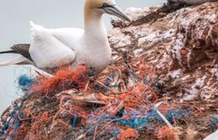 Contrôle compostable