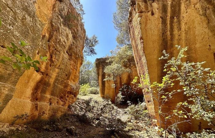 Expositions, visites de ville, visites immersives… Aix-en-Provence prépare un hommage grandiose à Cézanne