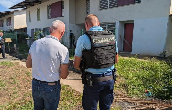 Opération « Sécurité » dans le quartier Frangipanier à Macouria