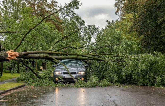 le chaos semé par la tempête Bert en France et au Royaume-Uni