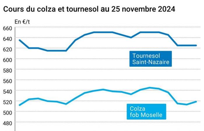 Oléagineux – Les prix du colza et du soja se redressent, le colza continue de se déprécier