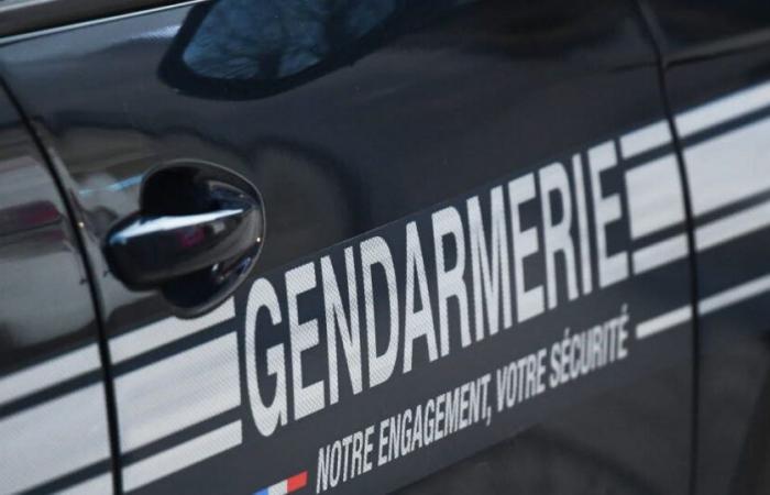 Réunion. Il tue ses deux enfants âgés de 4 et 7 ans et se suicide