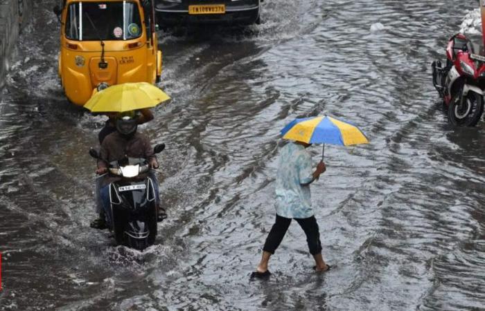 Le Tamil Nadu se prépare à de fortes pluies : les équipes SDRF/NDRF déployées dans tous les districts