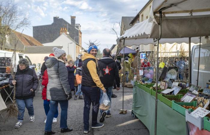 Malgré la neige et la tempête, cette foire de l’Orne survit : “C’était compliqué”