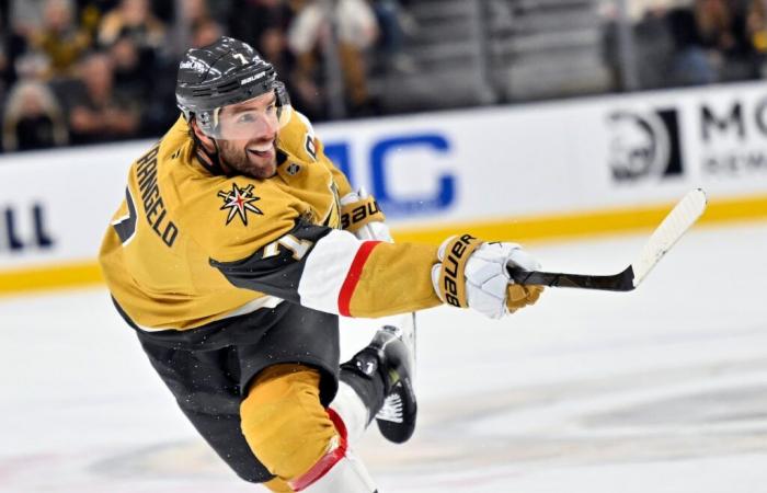 Capitals de Washington contre Vegas Golden Knights DIFFUSION EN DIRECT GRATUITE (17/11/24) : regardez la saison régulière de la LNH en ligne