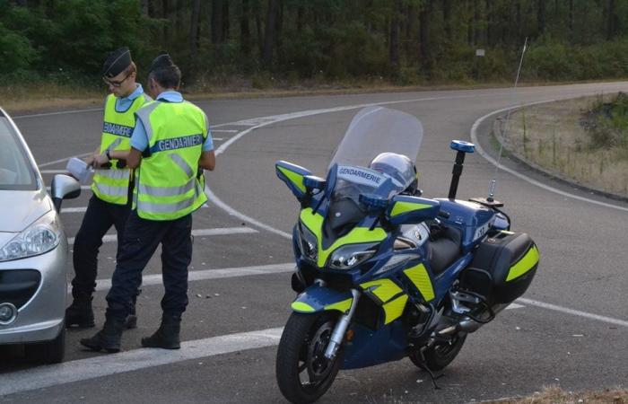 Contrôle routier à Campet et Lamolère : un conducteur lourdement sanctionné