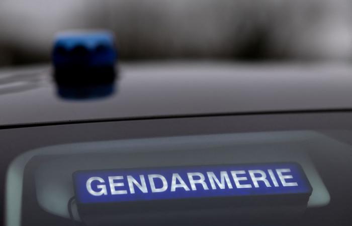 un père tue ses deux enfants âgés de quatre et sept ans et se suicide