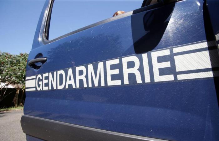 Un jeune homme retrouvé mort dans une voiture repêchée dans le Gave de Lourdios à Issor