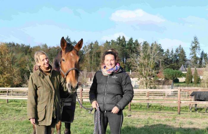 les sentiers d’Harambure, un territoire où le cheval est roi