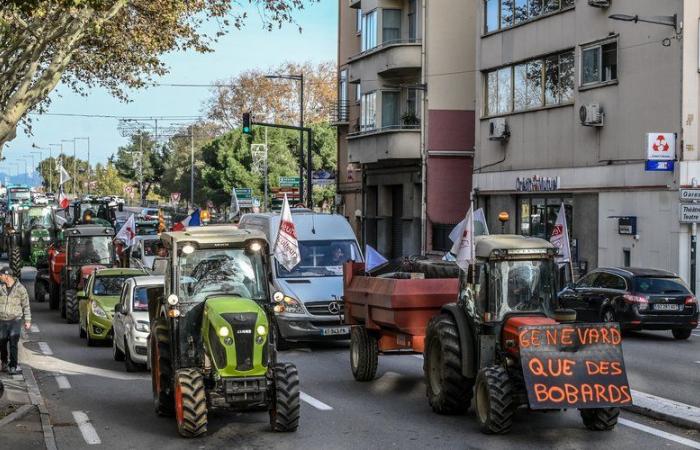 Sécheresse persistante, mort de vergers, lourdeur administrative, remplacement des cultures… les raisons de la colère dans les Pyrénées-Orientales