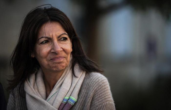 qui sont les principaux candidats prêts à succéder à Anne Hidalgo ?