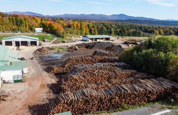 Industrie du bois | Un tarif serait un « désastre » pour les scieries québécoises