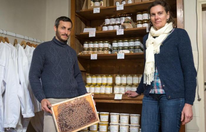 deux médailles d’or pour Les Apiers d’Aliénor