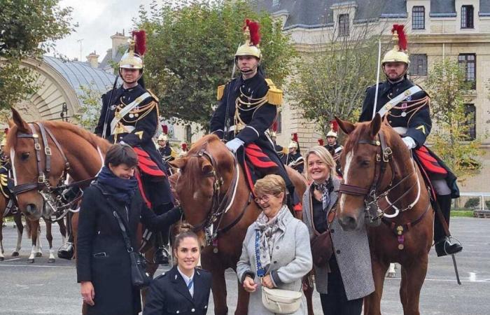 trois chevaux nés dans la Manche médaillés