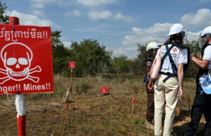 L’ONU dénonce la « menace renouvelée » des mines antipersonnel, alors que Washington va en fournir à Kiev