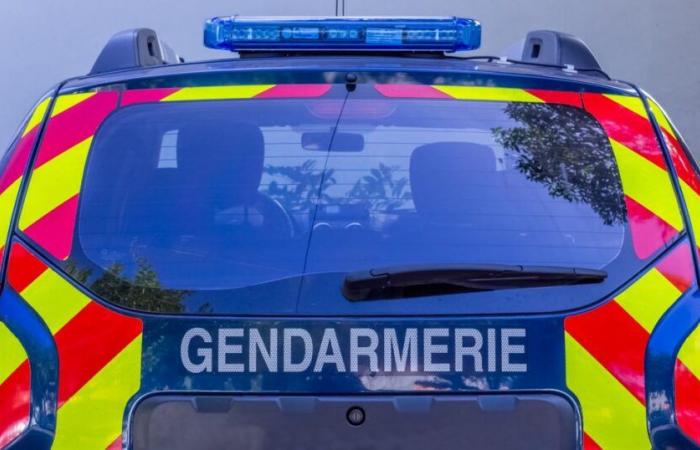 deux filles âgées de 4 et 7 ans retrouvées mortes au domicile de leur père