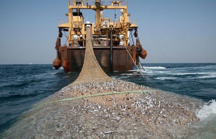 SORTIR LA PÊCHE DES EAUX PROBLEMES