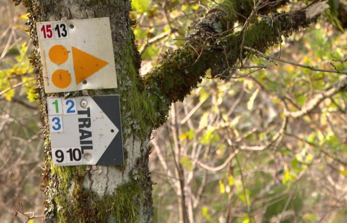 « Des Parisiens, des Toulousains, des Lyonnais, des Bretons, quelques étrangers… » Le Loup Blanc, un trail d’envergure nationale en pleine préparation