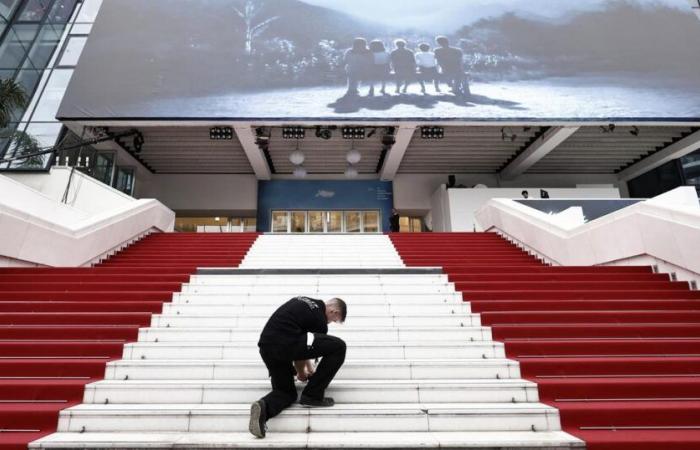 Cannes une nouvelle fois élue « meilleure destination au monde pour les festivals et événements »