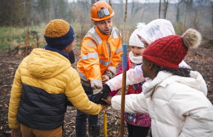 Haute Savoie. A Poisy, 800 arbres plantés par 145 étudiants et le groupe Colas