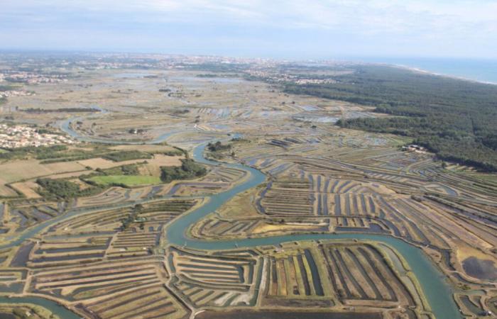 ce maire de Vendée continue son bras de fer avec Free