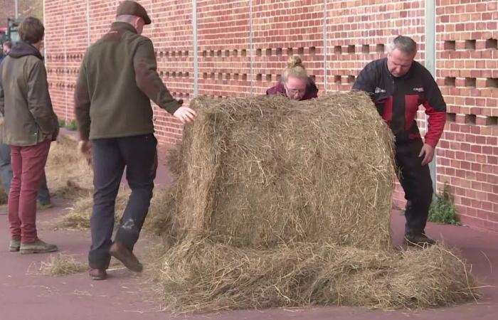 Tracteurs, bottes de paille, terres… Pourquoi des agriculteurs en colère manifestent devant l’agence de l’eau à Rouen