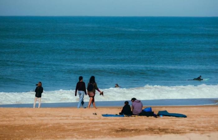 la fréquentation touristique en baisse de 1,3% pendant les vacances de la Toussaint