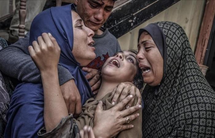 Israël a commis 7 160 massacres et exterminé 1 410 familles à Gaza