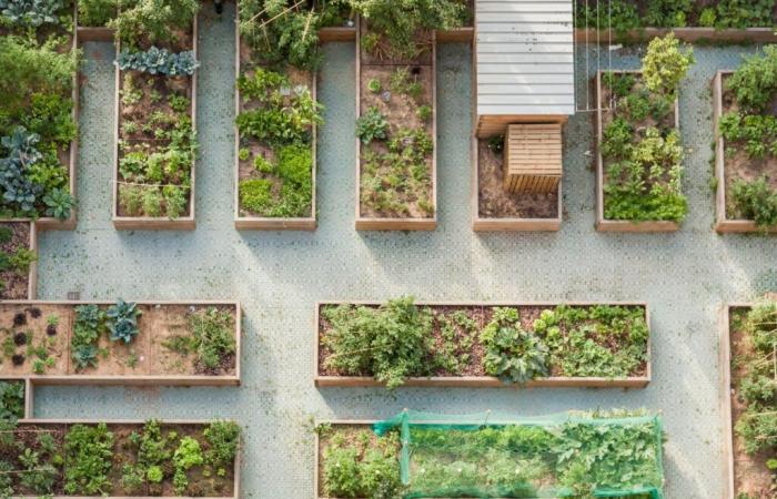 L’agriculture urbaine à Barcelone, ​​​​un trésor inexploré