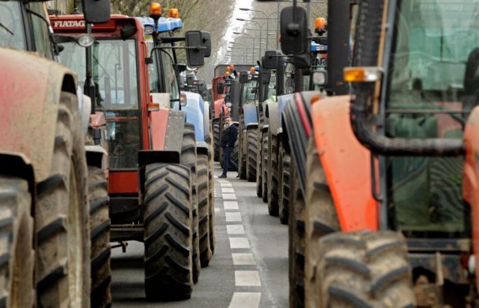 De nouvelles actions alors que les députés débattent du traité sur le Mercosur