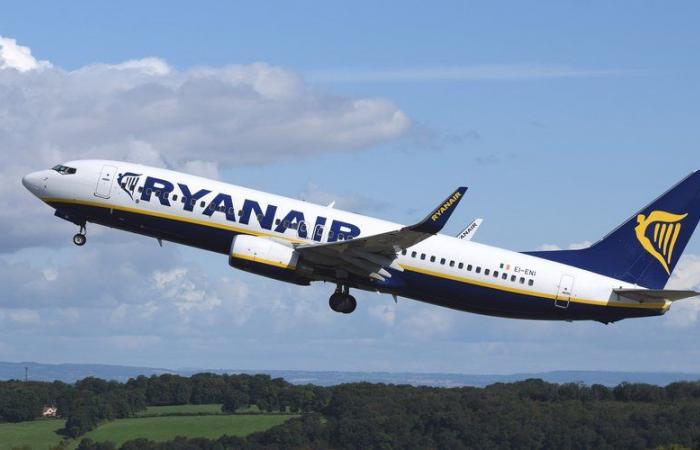 Ryanair prêt à quitter Perpignan, l’avenir de l’aéroport menacé ?