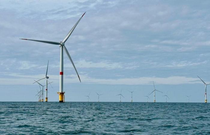 Lilian est la première apprentie en France dans un parc éolien offshore, à Fécamp