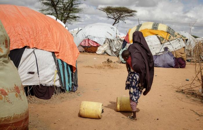 Selon l’ONU | 140 femmes et filles tuées chaque jour par un partenaire ou un parent en 2023